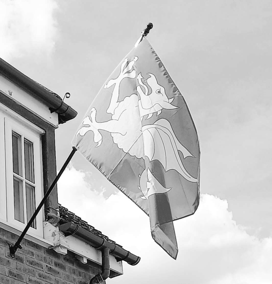 A flag showing a wingsnake fluttering against the sky.